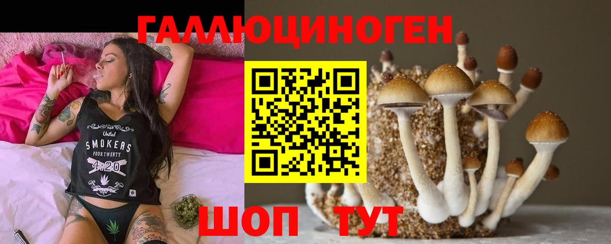 Галлюциногенные грибы Psilocybine cubensis  Вход с VPN  Аша 