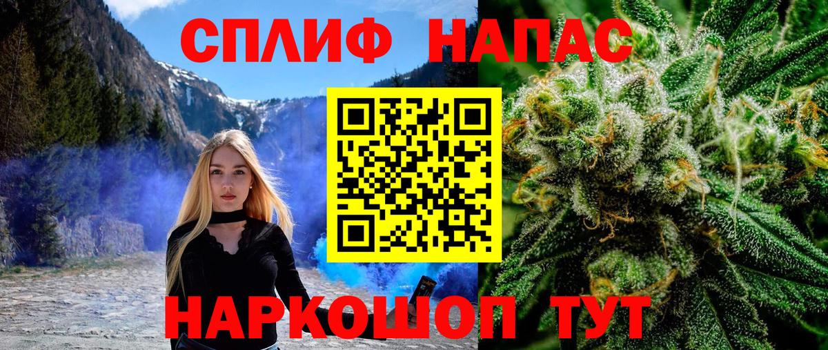 Каннабис THC 21%  Канабис гибрид  Канабис планчик  Аша  Конопля сатива 